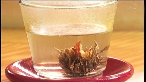 孤独のグルメ 浦安市 夢見るはとtravel