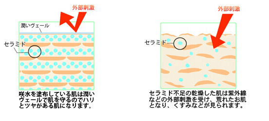 ひとつで化粧水から保湿パックまで5つの効果 ヒアルロン酸の5倍の保湿力を持つ スーパースキンケア 咲水ジェル 恵比寿 銀座大好き 新米フードアナリスト ハツのブログ