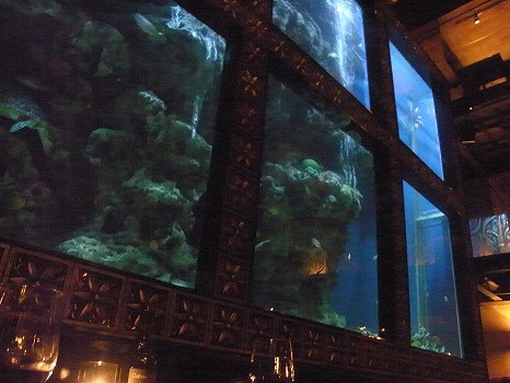 高さ5メートルの巨大水槽で ラグジュアリー オアシス空間 Aqa Restaurant Bar Luxis アクア レストラン アンド バー ラグシス 恵比寿 恵比寿 銀座大好き 新米フードアナリスト ハツのブログ
