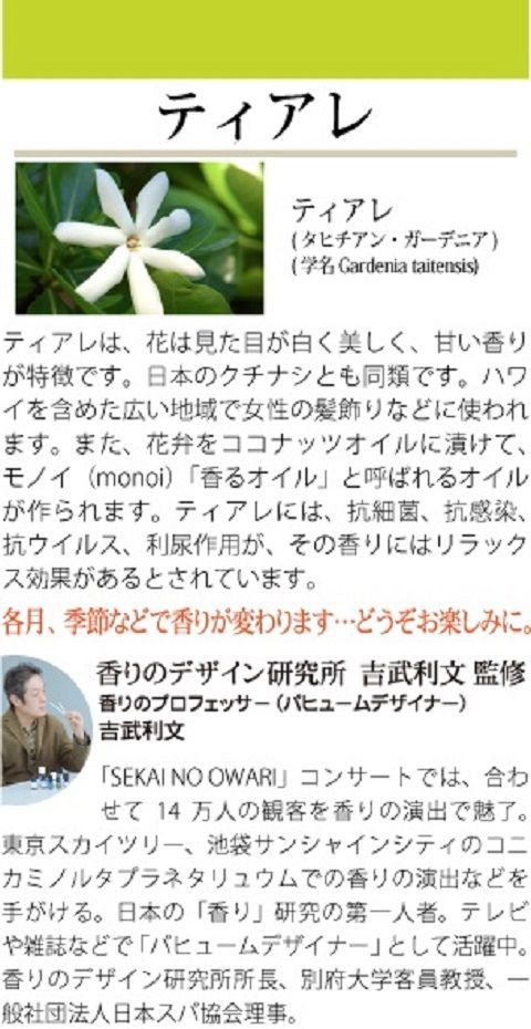 梅雨でも笑顔に ハワイアンズの楽しみ方 スパリゾートハワイアンズ ブログ