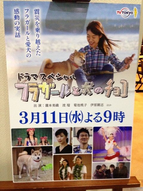 トップ フラガール と 犬 の チョコ dvd