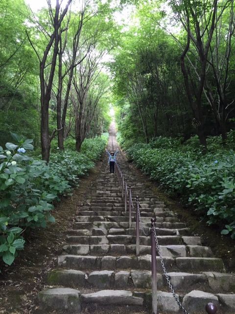 二上山ふるさと公園 羽山歯科スタッフブログ