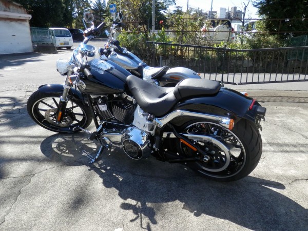 2014 ハーレーダビッドソンxl1200x48 純正タンク フレーク パーツ