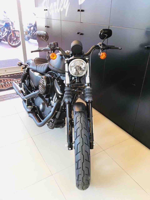 2019年モデル XL883Nのご案内。 : ハーレーダビッドソン沼津のblog