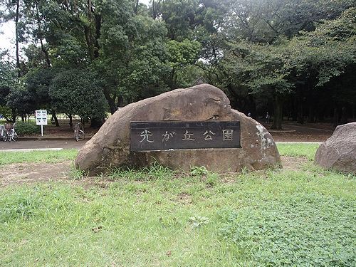 練馬区光が丘を歩く 光が丘公園 新 日々凡々 歩いて行こう