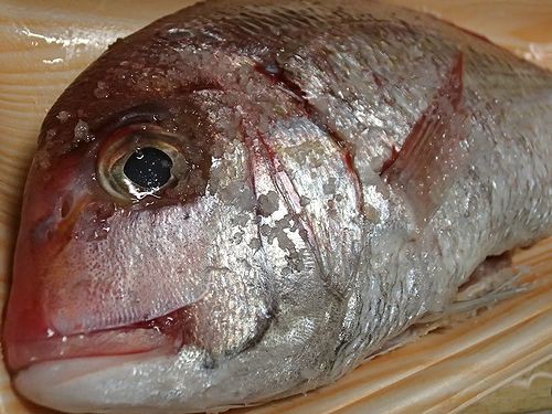 チダイ煮付をつまむ 新 日々凡々 歩いて行こう