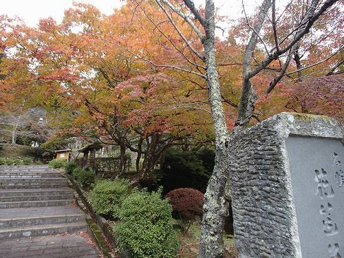 越前市粟田部町を歩く 花筐公園 秋彩鮮 新 日々凡々 歩いて行こう