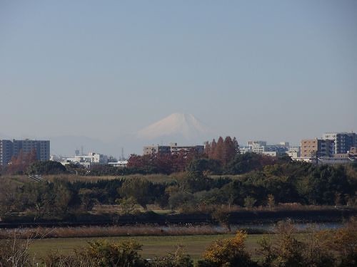 和光市白子 板橋区赤塚を歩く 師走迷走 1 2 新 日々凡々 歩いて行こう