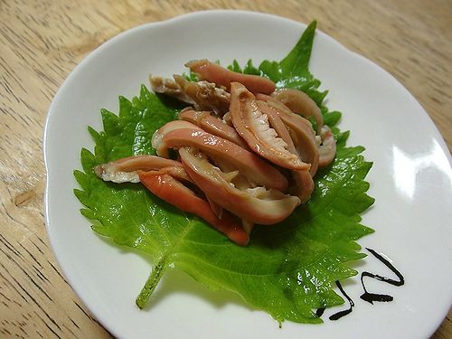 ヒザラガイを喰う 新 日々凡々 歩いて行こう