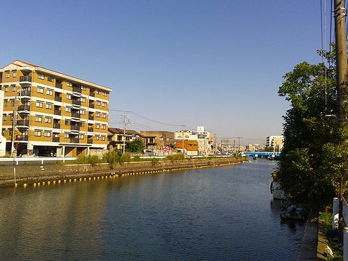 横浜市磯子区 掘割川で秋ハゼ釣り 新 日々凡々 歩いて行こう