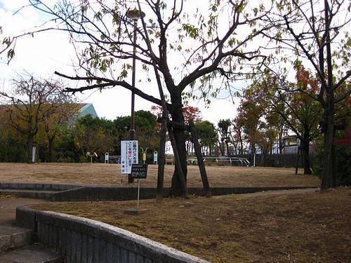 板橋区舟渡を歩く 舟渡水辺公園 深まる秋 新 日々凡々 歩いて行こう