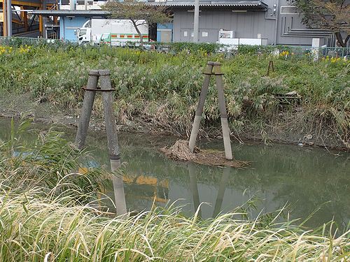 鴻巣市前砂 元荒川を歩く アサヒ橋 水辺公園 新 日々凡々 歩いて行こう