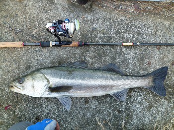 Night Hawk 91ML リメイク : 天をめざして