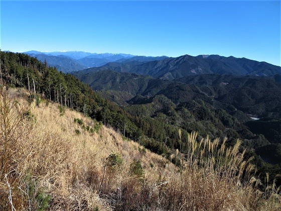 茅野峠 愛知 静岡県境の山 山だもんね