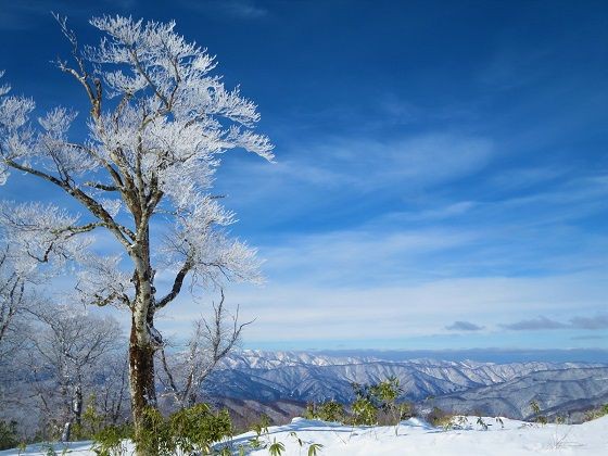 流葉山 スキー場ゲレンデを行く 山だもんね