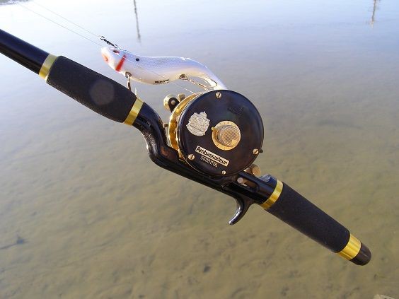 特別なリール！アンバサダー5600CDL！ : リール屋