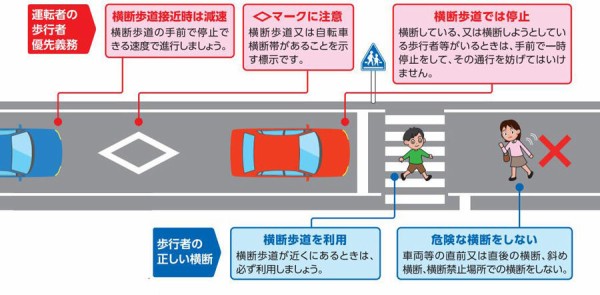 交通取り締まり 一旦停止違反 納得のいかない取り締まり方法 ウサコッツ飼育日記