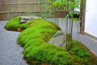 苔庭をめざして 新築の庭改造計画 ウサコッツ飼育日記