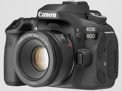 Canonの一眼レフで考えるコストパフォーマンス : ウサコッツ飼育日記