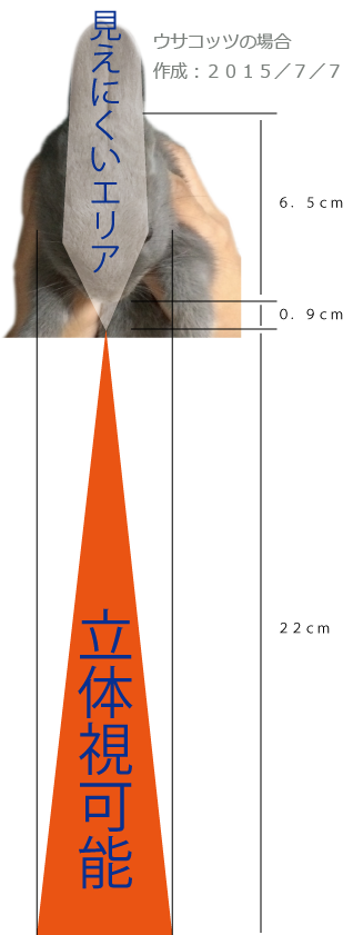うさぎの視界 画像で解説する視界と ウサギの恐怖心 ウサコッツ飼育日記