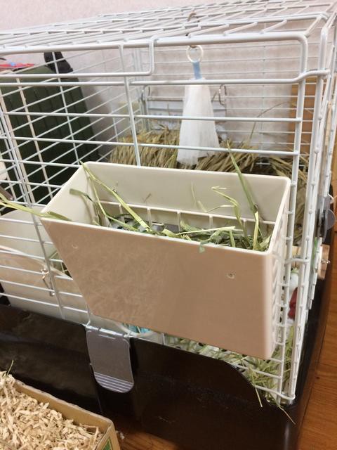 牧草フィーダーを変更しました : ウサコッツ飼育日記