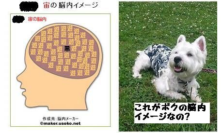 脳内メーカー 巻き毛のウエスティー Next