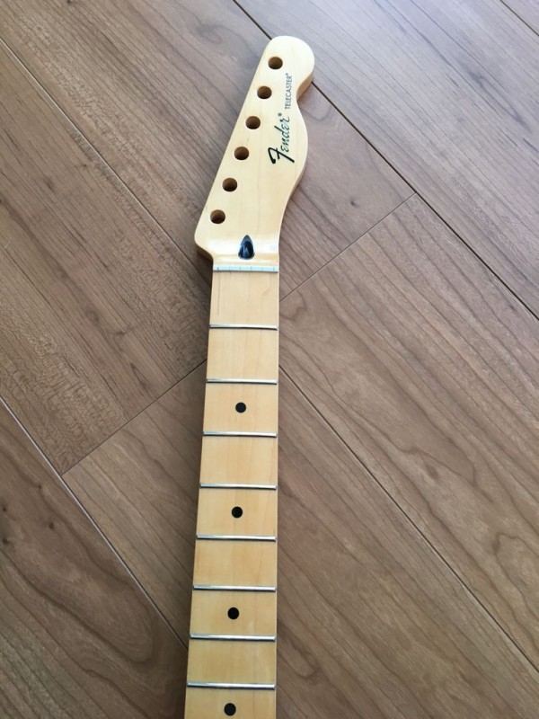 まとめ＞パーツを集めて自作テレキャスターを製作したもんね