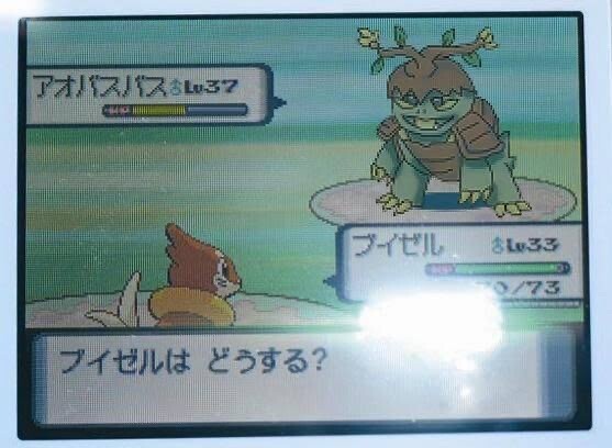 ポケモン ポケモンガセリーク画像の思い出 1990ちゃんねる
