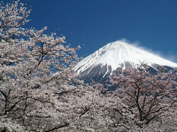 フリー素材壁紙として富士山の写真を公開しました へんぽらいの祭り談義