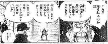 悪魔の実 ワンピースネタバレ Heppoko