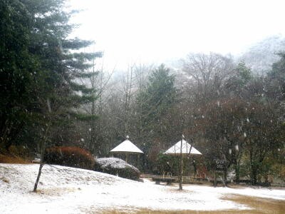 簡化二十四式太極拳 の２４の動作が覚えられない 自分スタイルのセカンドライフ