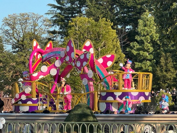 ディズニーランド◇ハッピーエントリー＆パスで混雑日でもたくさん乗れ