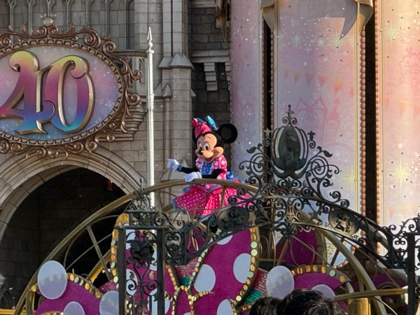 ディズニーランド◇ハッピーエントリー＆パスで混雑日でもたくさん乗れ