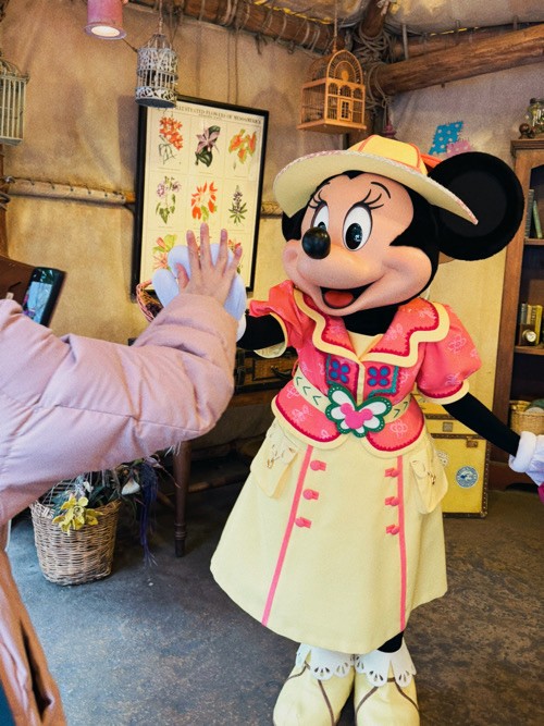 ディズニーシー◇ミニーちゃんのグリに家族で大感激！ : 日々のくらし