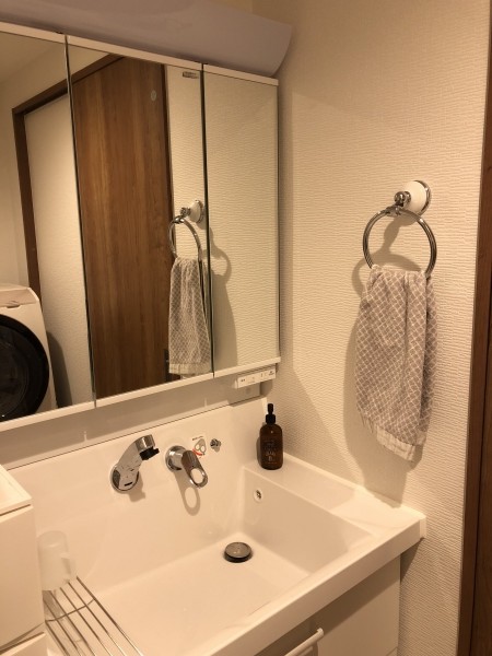 洗面所 ダルトンはタオルリングも素敵 日々のくらし手帖 Powered By ライブドアブログ