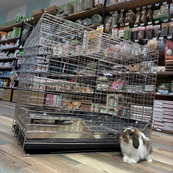 プロケージ80組み立て紹介～！ : うさぎブログ うさぎのしっぽ公式