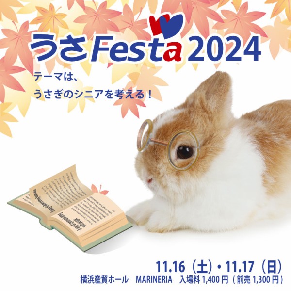 うさぎページ ちー助の日常 : うさぎブログ うさぎのしっぽ公式ブログ「日々
