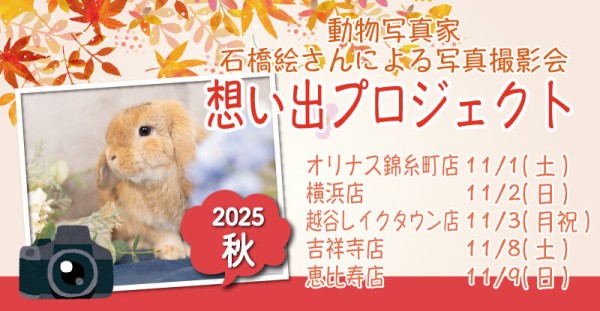 ほのぼの系女子 : うさぎブログ うさぎのしっぽ公式ブログ「日々しっぽ」