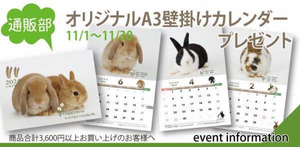 だけじゃない！マイカヒーター : うさぎブログ うさぎのしっぽ