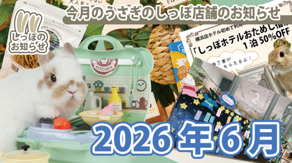 ナチュラルサイエンス＆ヘルシートリーツセール開催中！ : うさぎ