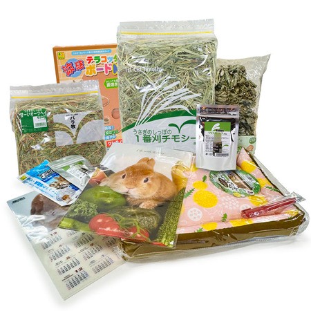 限定！夏の福詰箱 : うさぎブログ うさぎのしっぽ公式ブログ「日々しっぽ」