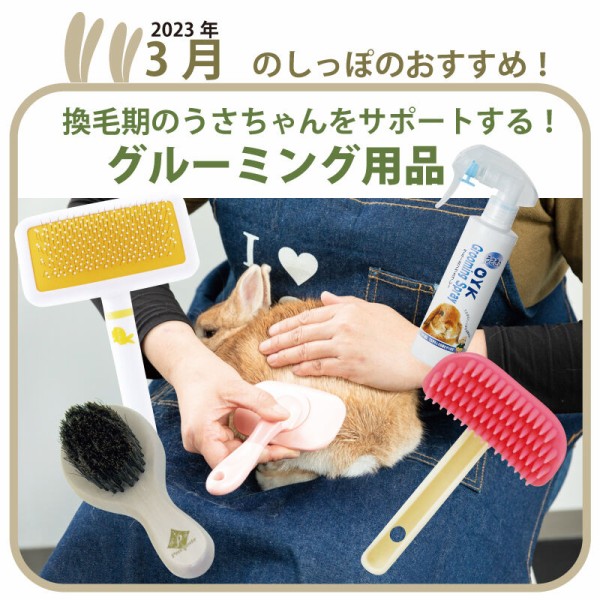 やんちゃうさぎ×プロケージ！ : うさぎブログ うさぎのしっぽ