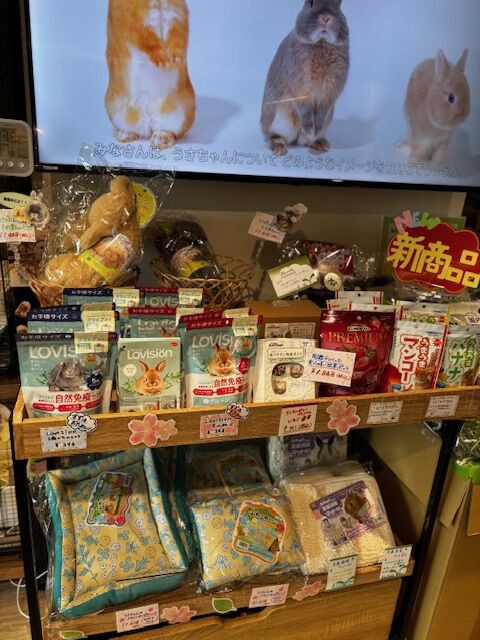 新商品ぞくぞく発売！ : うさぎブログ うさぎのしっぽ公式ブログ「日々