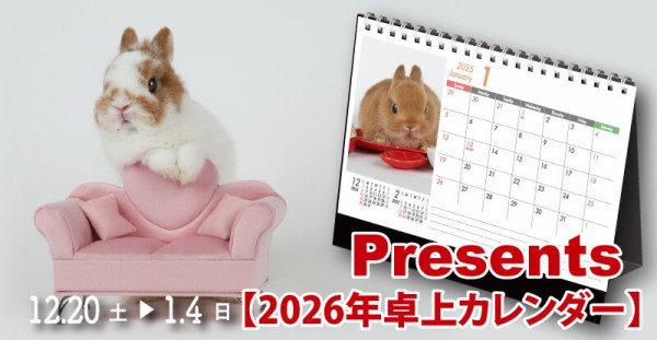 今日から年末年始セール！！ : うさぎブログ うさぎのしっぽ公式ブログ