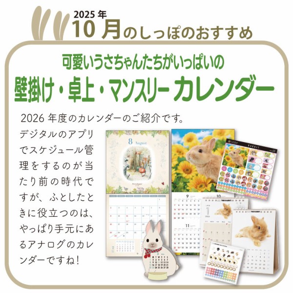ほのぼの系女子 : うさぎブログ うさぎのしっぽ公式ブログ「日々しっぽ」