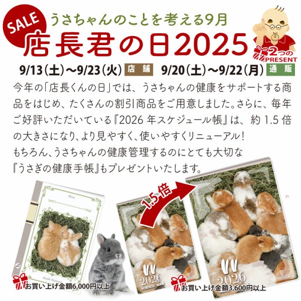 思い出プロジェクトin吉祥寺店 : うさぎブログ うさぎのしっぽ公式