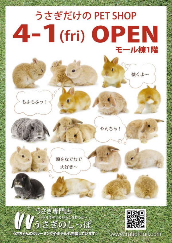 うさぎのしっぽ オリナス錦糸町店 4月1日オープンします！ : うさぎブログ うさぎのしっぽ公式ブログ「日々しっぽ」