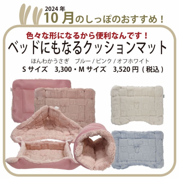 ちー助との1年間 : うさぎブログ うさぎのしっぽ公式ブログ