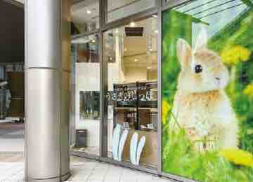 錦糸町に新店舗オープン！！ : うさぎブログ うさぎのしっぽ公式