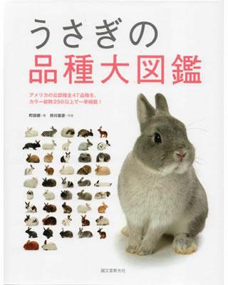 ☆うさぎの品種大図鑑☆ : うさぎブログ うさぎのしっぽ公式ブログ